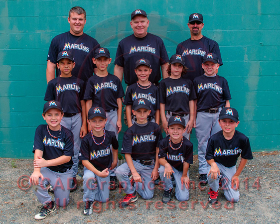 Marlins team-AA-Amer 04-12-2013 (2)