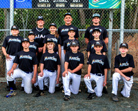 Marlins Team-Majors 04-21-2013 (1)