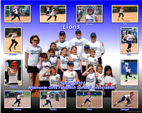 Lions Softball Spring 2010 collage