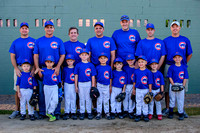 Cubs team-A-Ball 10-25-2013 (1)