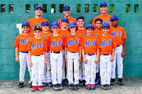 Mets team-AAA-Nat 04-26-2014 (2)