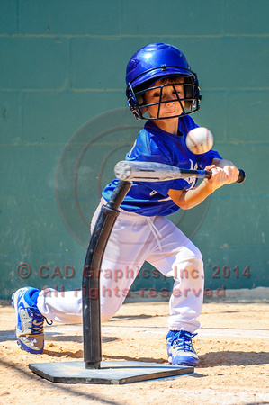 DeGusipe-Dodgers-T-Ball 04-26-2014 (6)