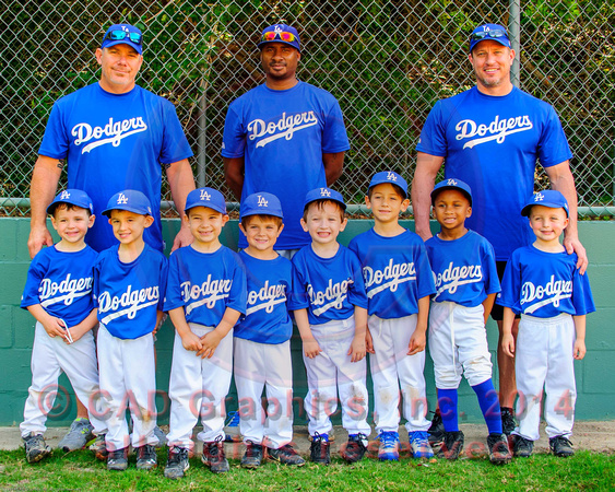 Dodger team-T-Ball 04-26-2014 (3)