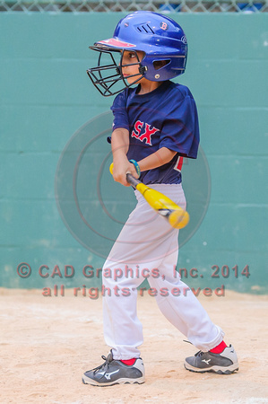 Siddigui-Red Sox-A-Ball 04-07-2014 (21)
