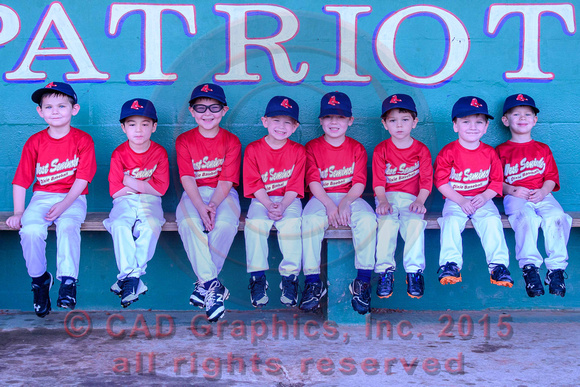 Team-Red Sox-T-Ball 11-07-2015