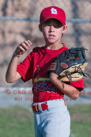 Farmer-Cardinals Majors Fall 2010 (3)