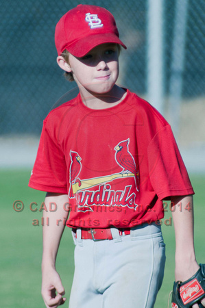 Farmer-Cardinals Majors Fall 2010 (4)