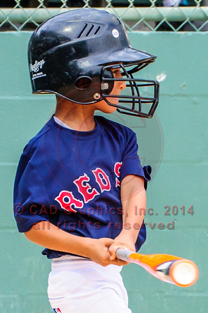 Loor-Red Sox-A-Ball 04-07-2014 (17)