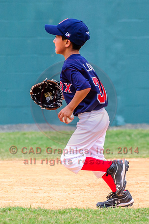 Loor-Red Sox-A-Ball 04-07-2014 (9)
