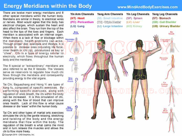 Energy Meridians within the Body