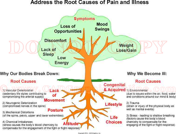 Root Causes of Pain & Illness