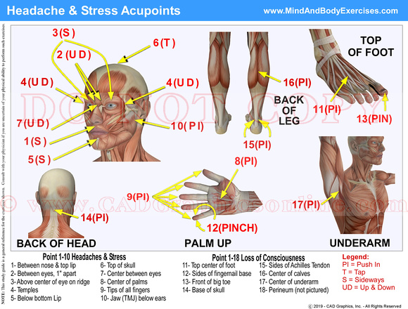 Headache  Stress Acupoints