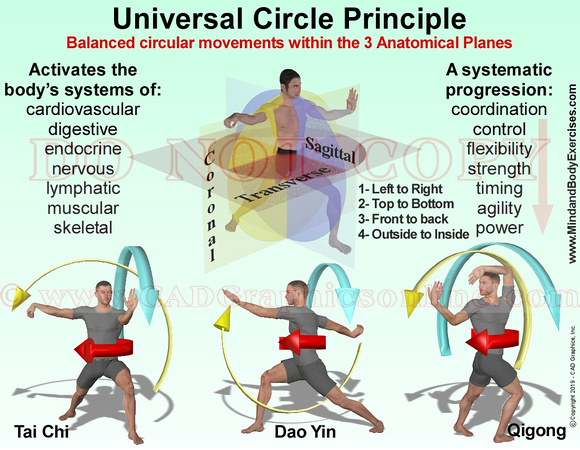Universal Circle Principle with examples