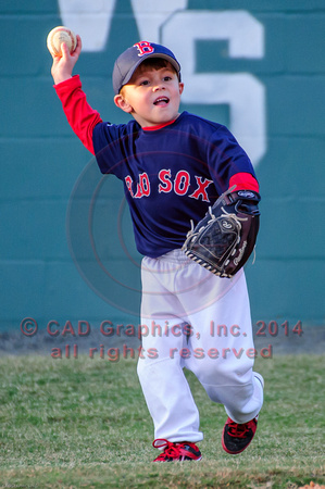 Sarmiento-Red Sox-A-Ball 02-28-2014 (8)