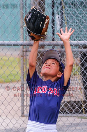 Loor-Red Sox-A-Ball 04-07-2014 (4)