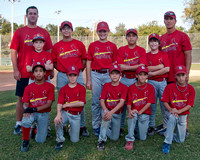 Cardinals Majors Fall 2010