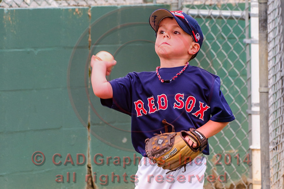 Sarmiento-Red Sox-A-Ball 04-07-2014 (20)