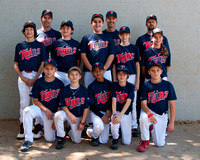 Twins-Majors Spring 2011