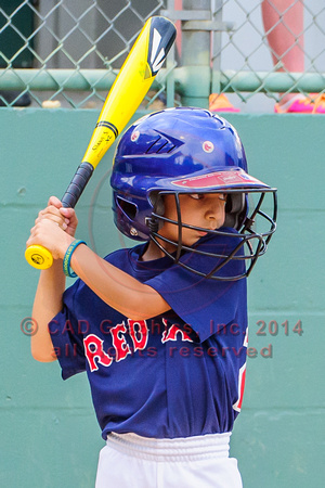 Siddigui-Red Sox-A-Ball 04-07-2014 (10)