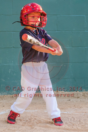Sarmiento-Red Sox-A-Ball 04-07-2014 (6)