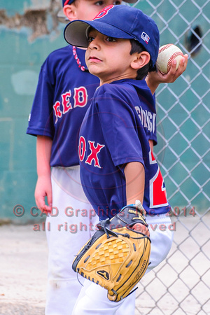 Siddigui-Red Sox-A-Ball 04-07-2014 (2)