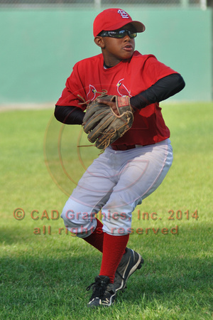 Cardinals 03-29-2010 Shelton (2)