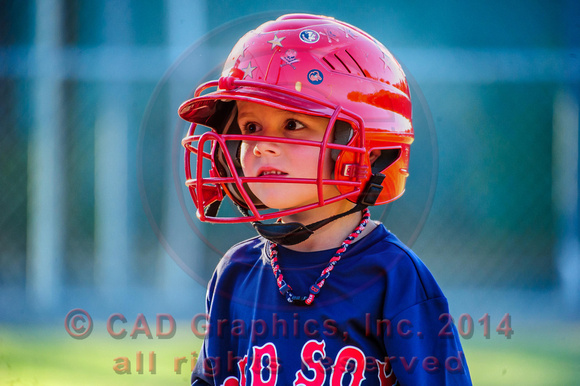 Sarmiento-Red Sox-A-Ball 04-07-2014 (18)