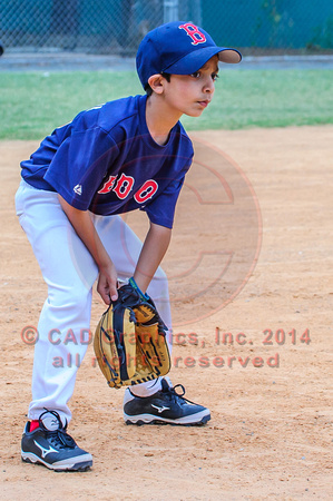 Siddigui-Red Sox-A-Ball 04-07-2014 (5)