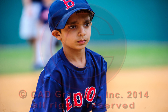Siddigui-Red Sox-A-Ball 04-07-2014 (4)