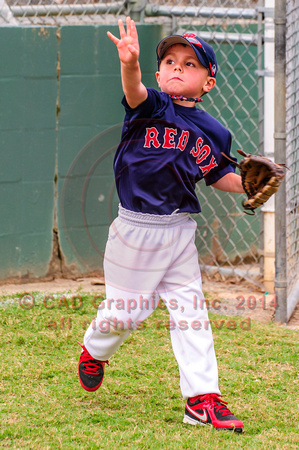 Sarmiento-Red Sox-A-Ball 04-07-2014 (21)