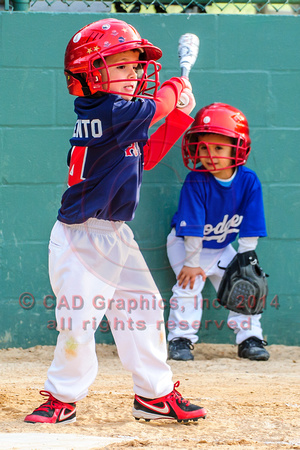 Sarmiento-Red Sox-A-Ball 03-27-2014 (4)