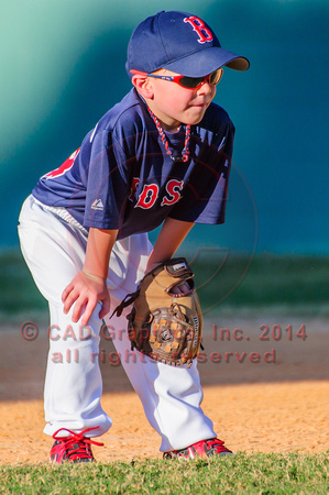 Sarmiento-Red Sox-A-Ball 04-07-2014 (1)
